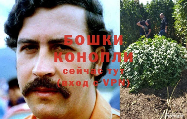МДПВ Краснослободск