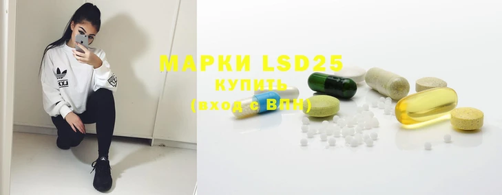 прущие грибы Коряжма